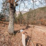 Крајпуташ Драгомиру Калабићу у Мокрој Гори (фото Бојан Радојичић)