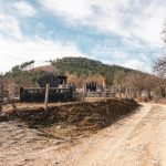 Гробље у Пањку, Мокра Гора (фото Бојан Радојичић)