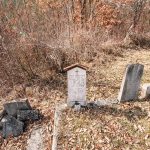 Споменик Јанку Топаловићу на гробљу у Пањку, Мокра Гора (фото Бојан Радојичић)