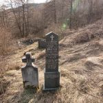 Споменик браћи Милуну и Светозару Милекићима на гробљу у Подстењу, Мокра Гора (фото Бојан Радојичић)