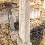 Споменик Светозару Тимотијевићу на гробљу у Подстењу, Мокра Гора (фото Бојан Радојичић)