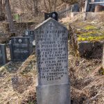 Споменик браћи Саву и Мијодрагу Тудурићу на гробљу у Подстењу, Мокра Гора (фото Бојан Радојичић)