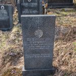 Споменик Будимиру С. Турудићу на гробљу у Подстењу, Мокра Гора (фото Бојан Радојичић)