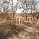 Крајпуташ Симу и Раденку Јакшићима у Мокрој Гори (фото Бојан Радојичић)